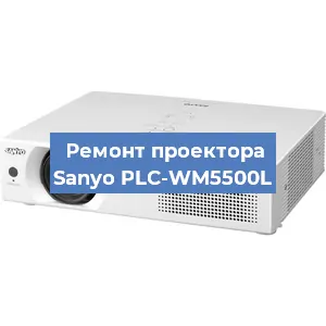 Замена поляризатора на проекторе Sanyo PLC-WM5500L в Челябинске